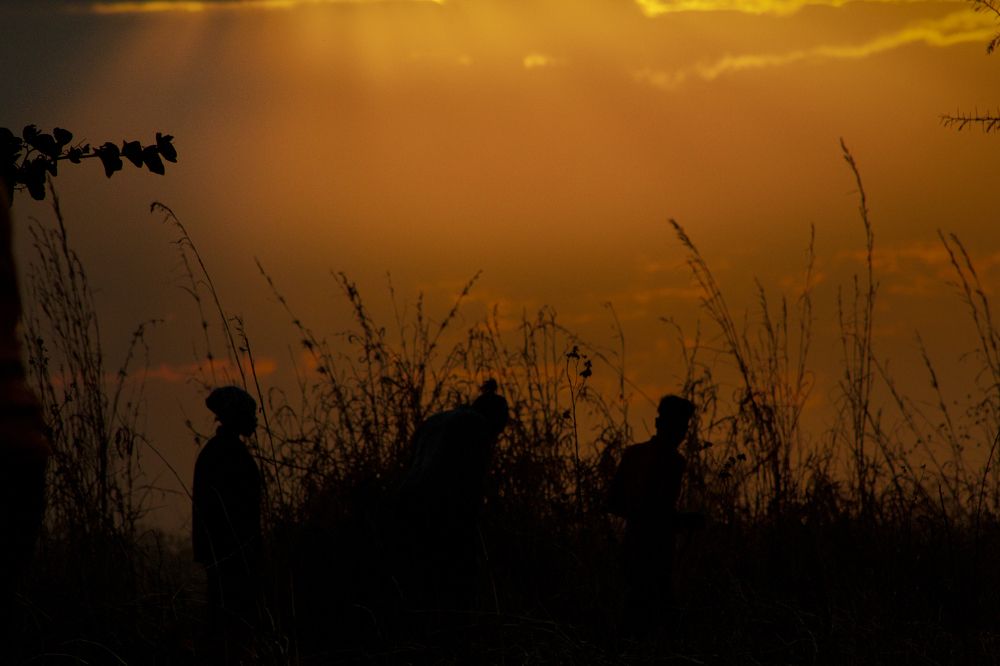 Sunset shot at mumbwa