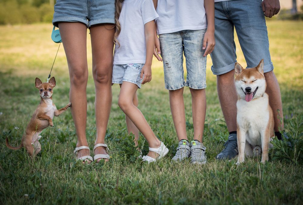 Photograph by Марина Шишкина