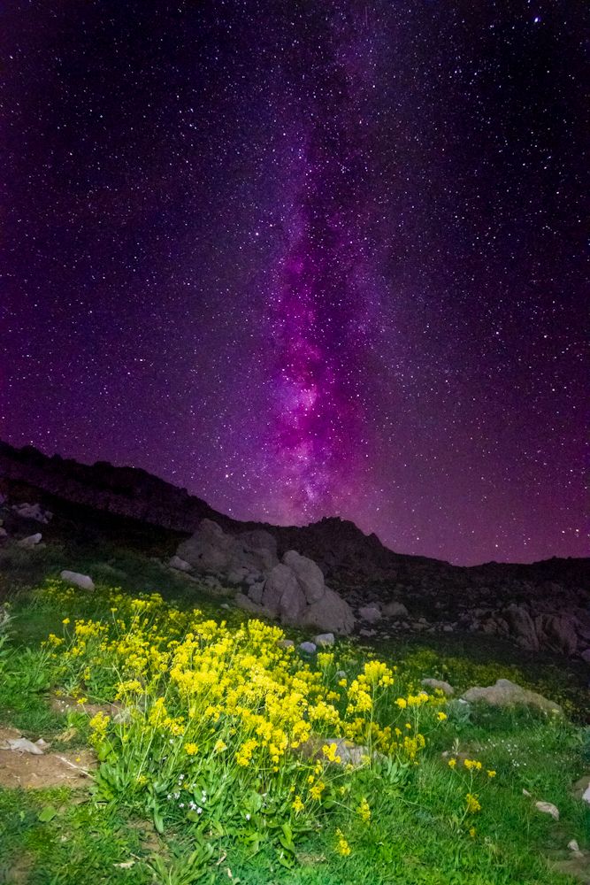 Photograph by Edris Khosravizadeh