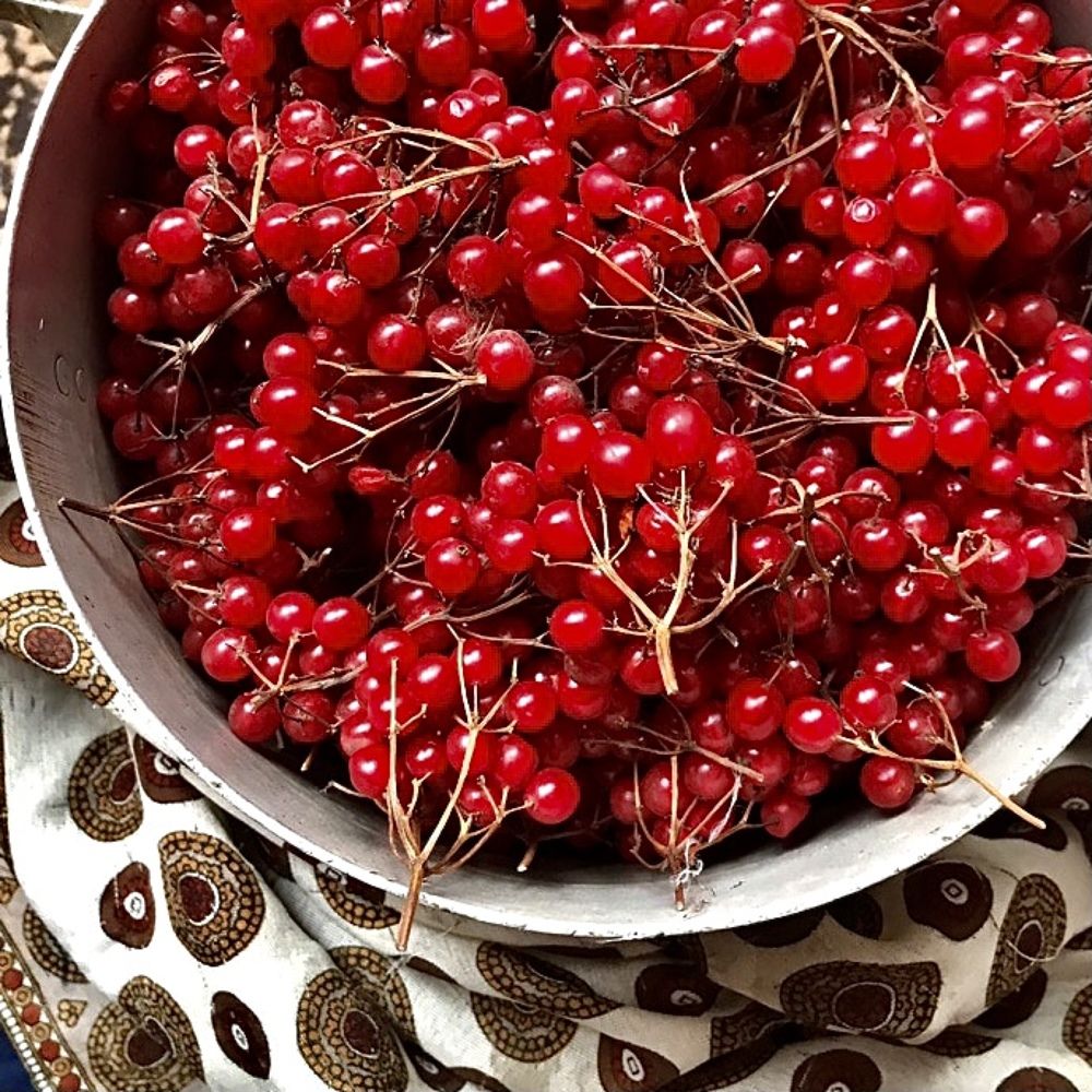 Photograph by Шестакова Наталья