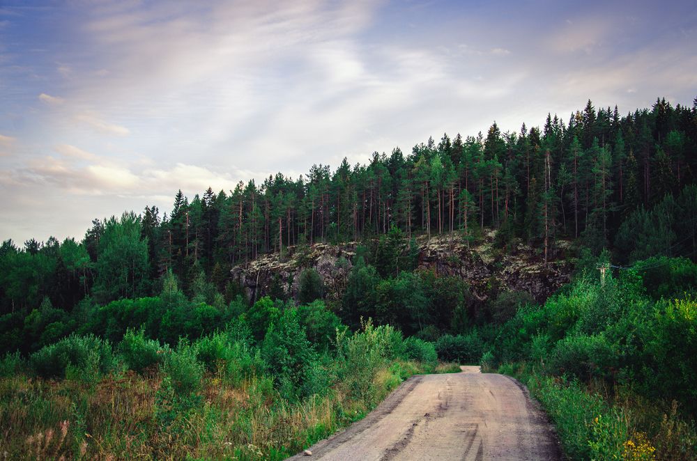Фотография автора Людмила Яковлева
