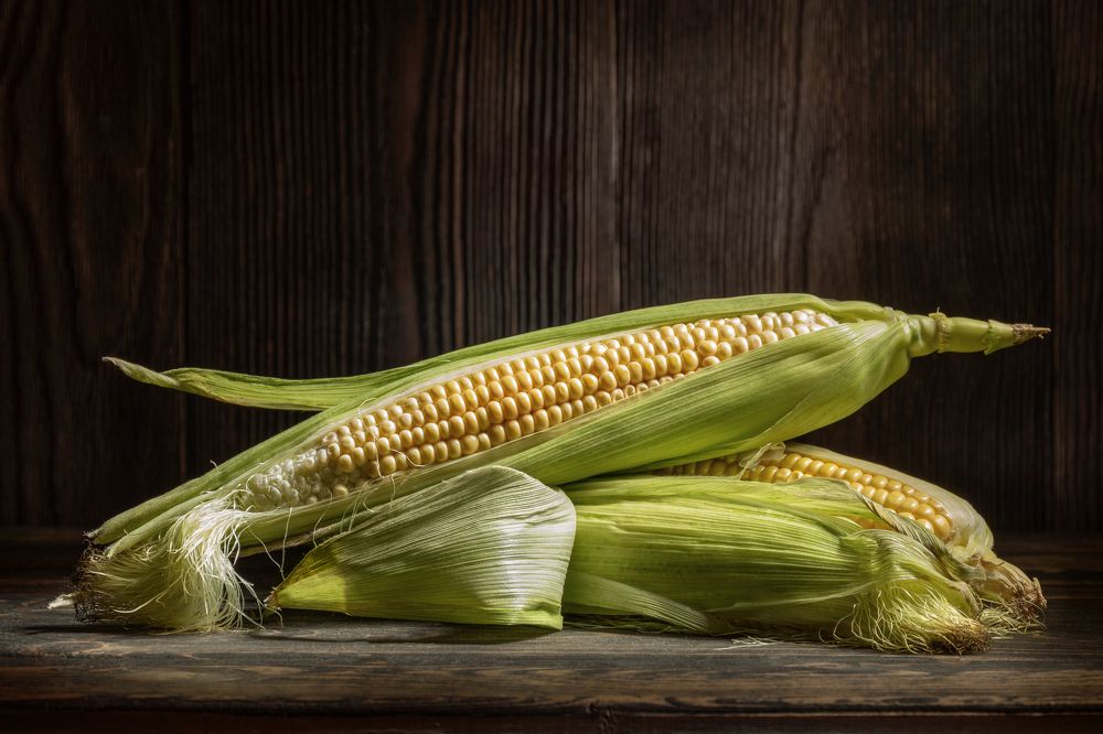 Натюрморт с кукурузой