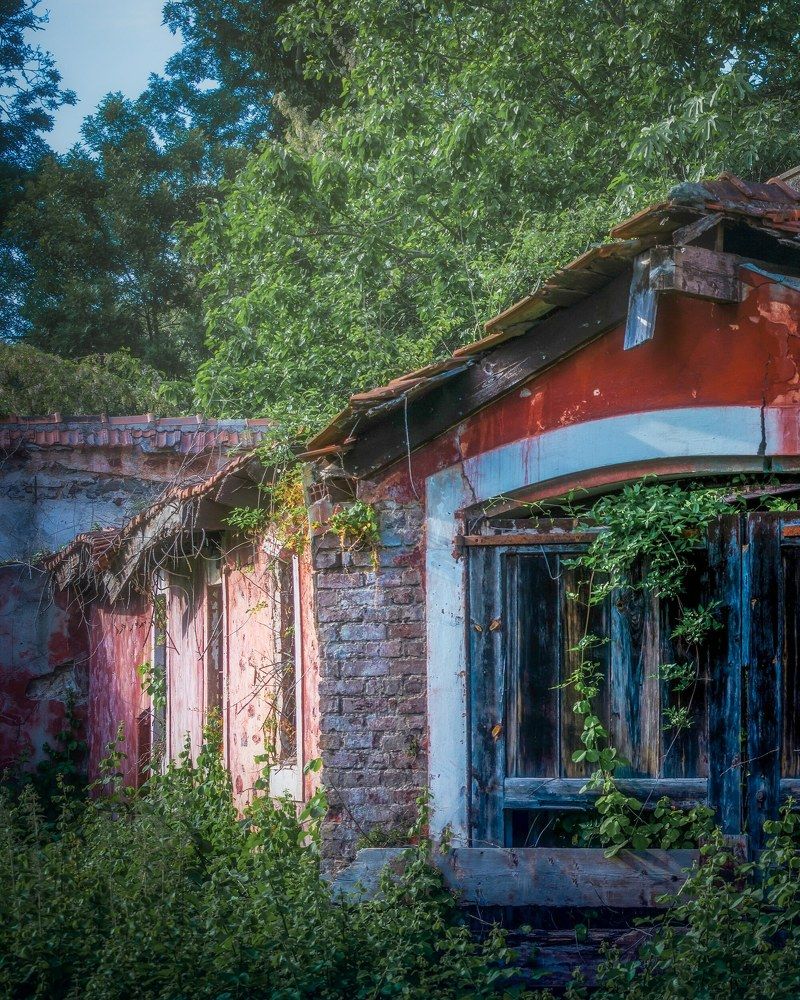 Photograph by Gokhan Sut