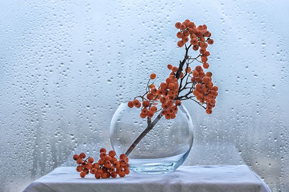 Photograph by Юлия Шестопалова