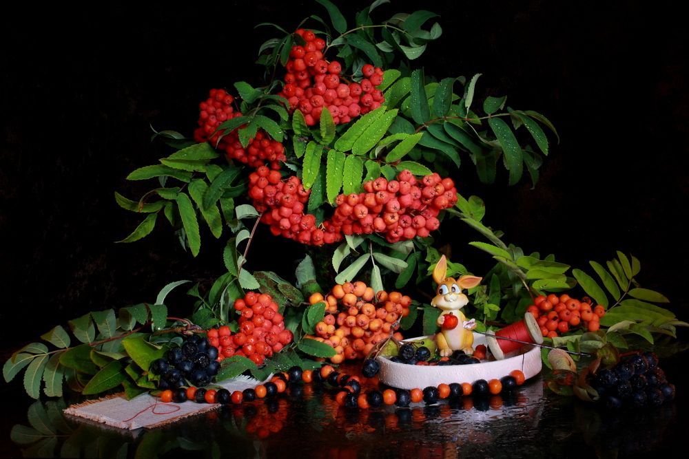 Фотография автора Nelya  Lysenko