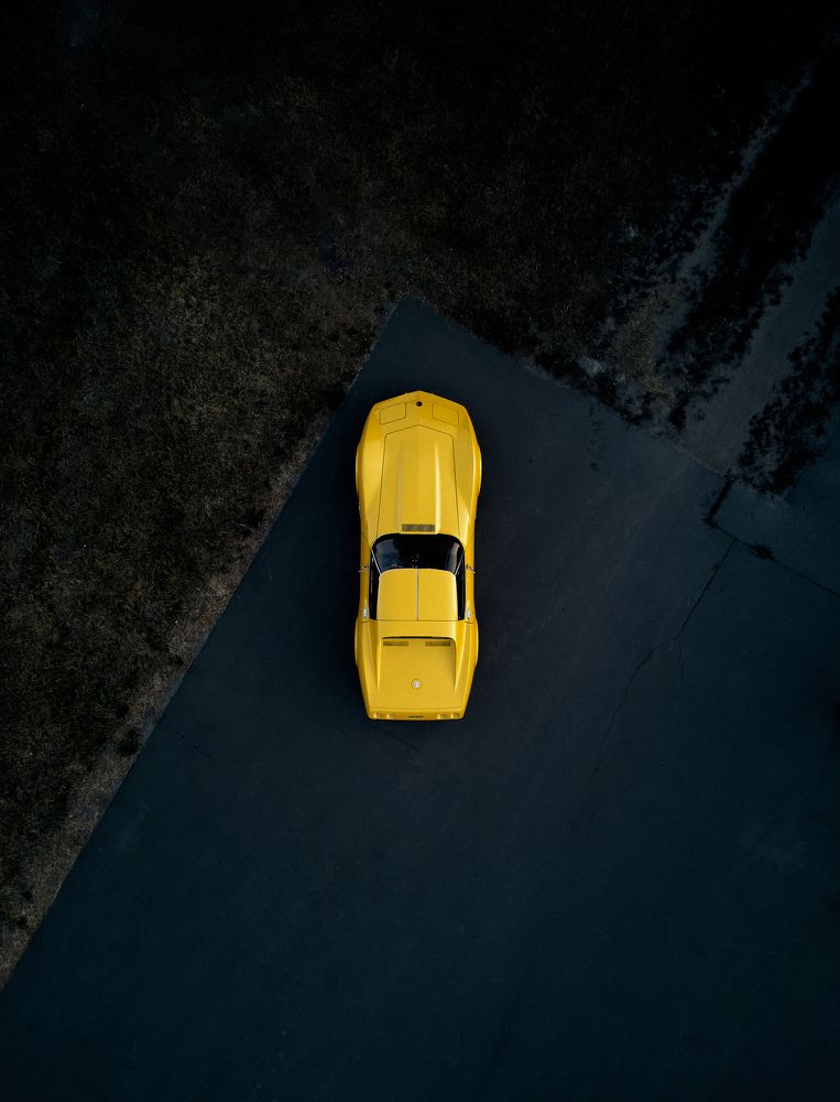 Yellow Shark