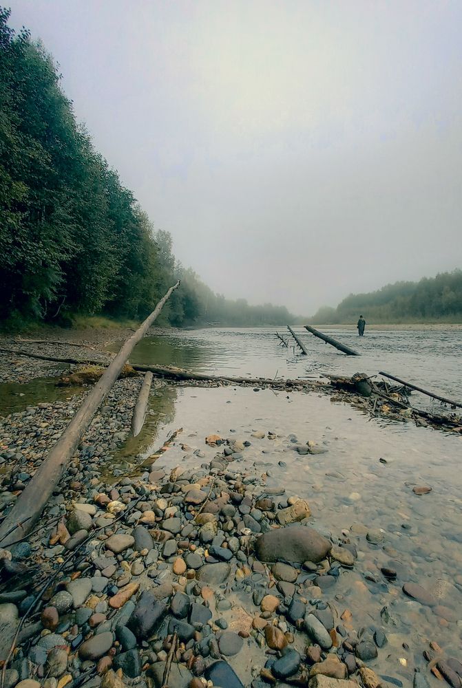 Photo #6432753