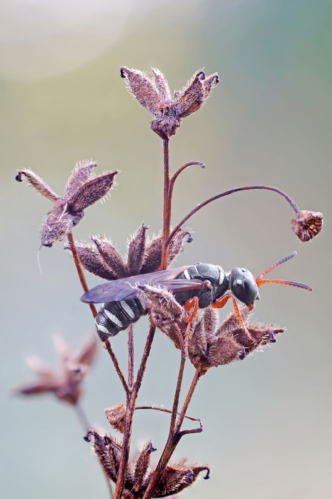 Photograph by Чепленко Алексей