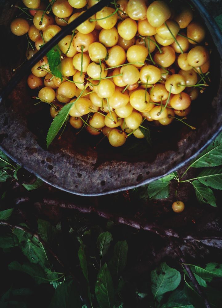 Фотография автора sose