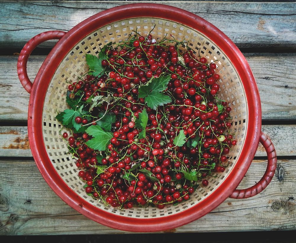 Фотография автора sose