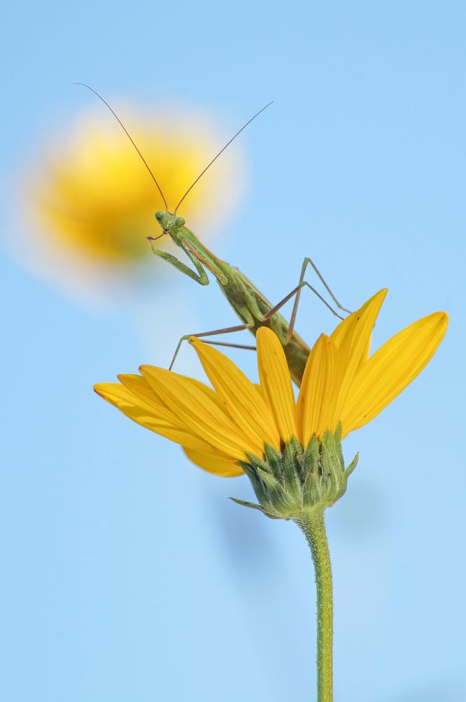 Photograph by Чепленко Алексей