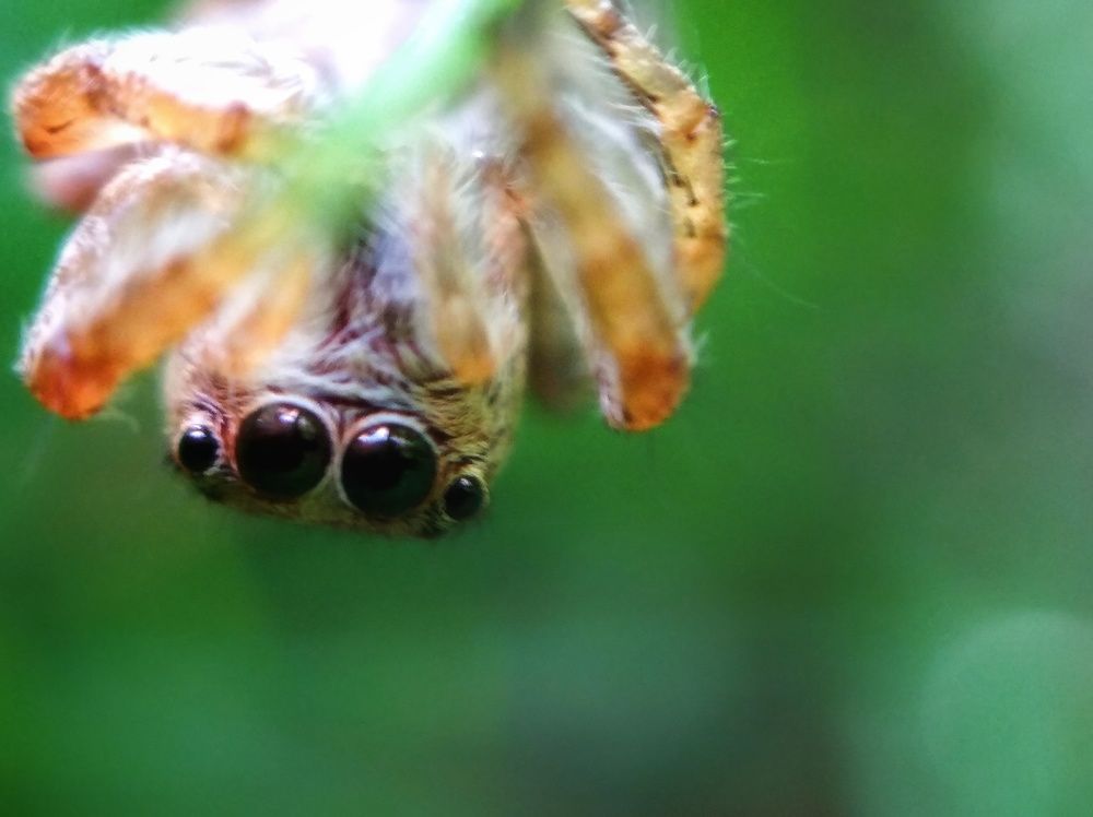 Photograph by Renz Adrian Ronda