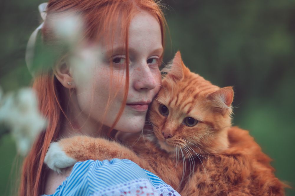 Photograph by Людмила Казак