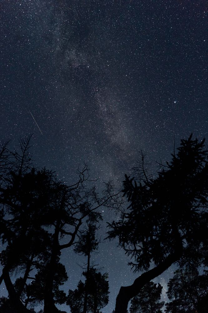 Photograph by Ilya Vasilev