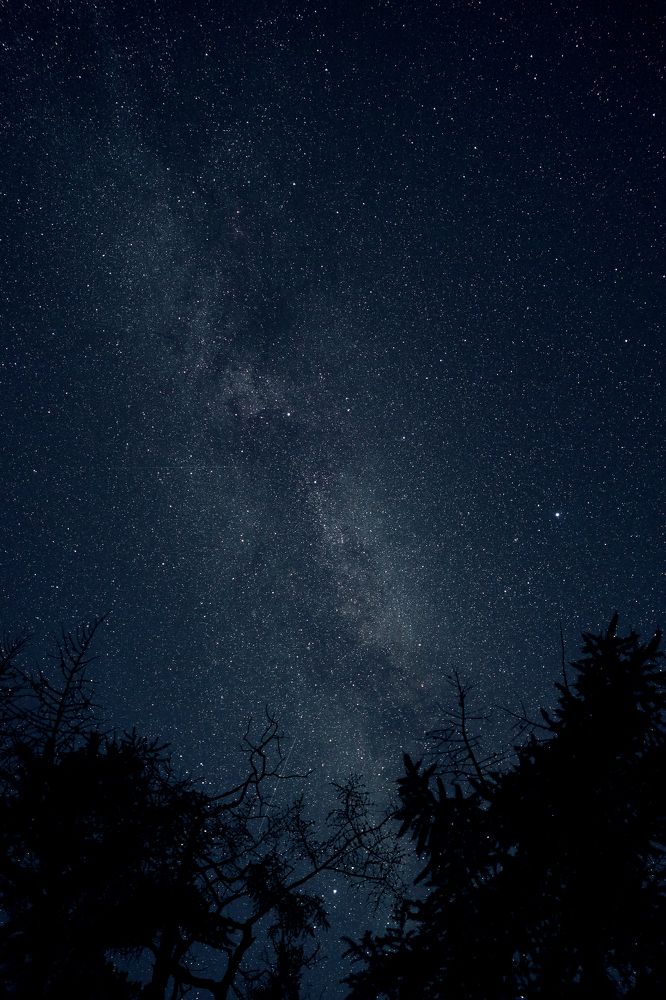 Photograph by Ilya Vasilev
