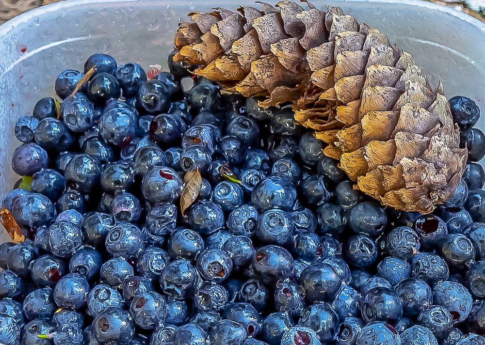 Карельская добыча