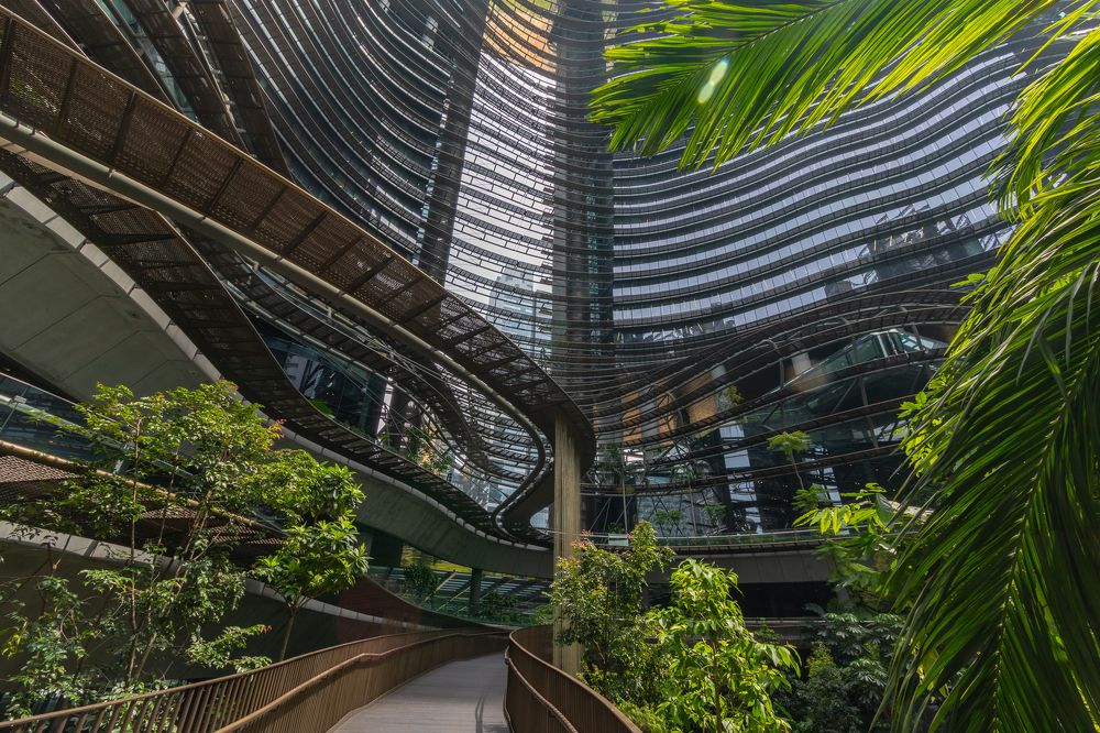 Green heart of the city