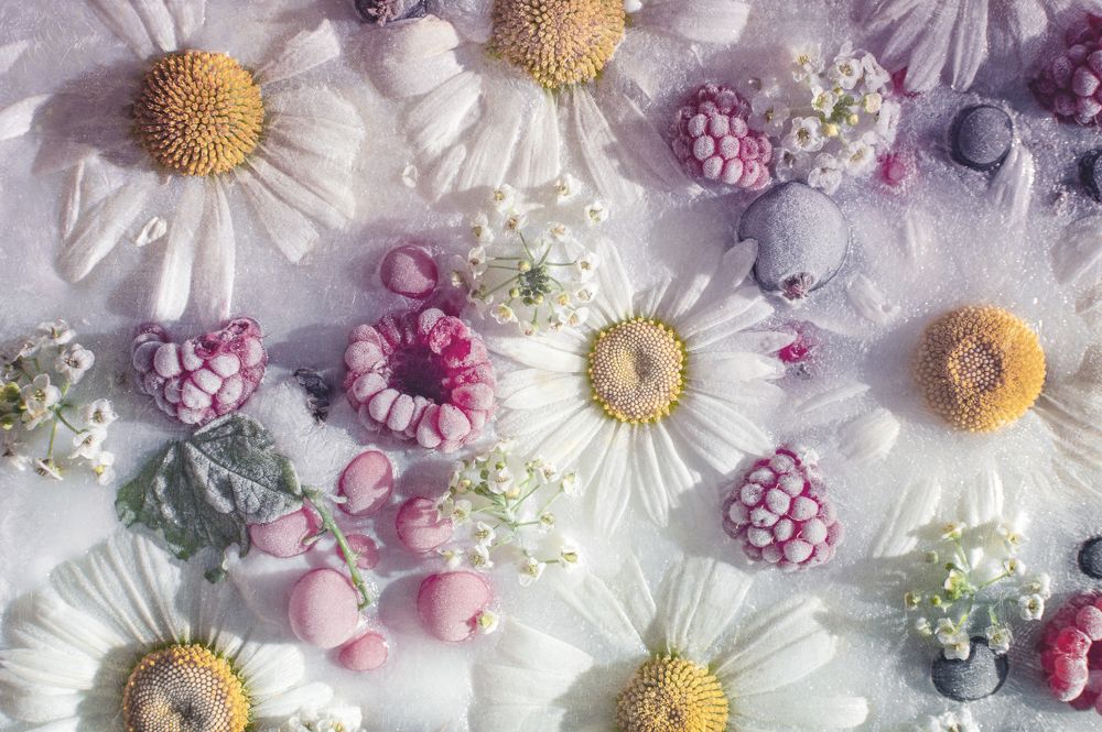 Photograph by Кристина Сотникова