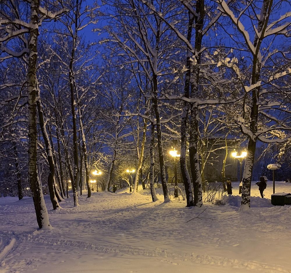 Photograph by Андрей Савицкий