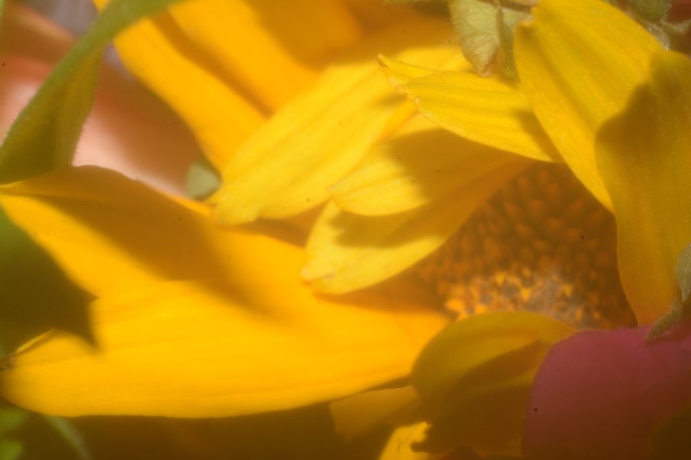 Photograph by Ольга Истомина