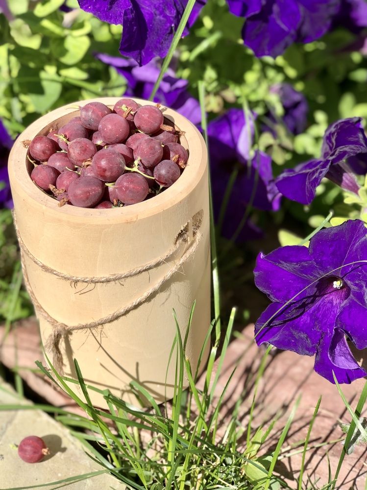 Photograph by Валерия Шишлова