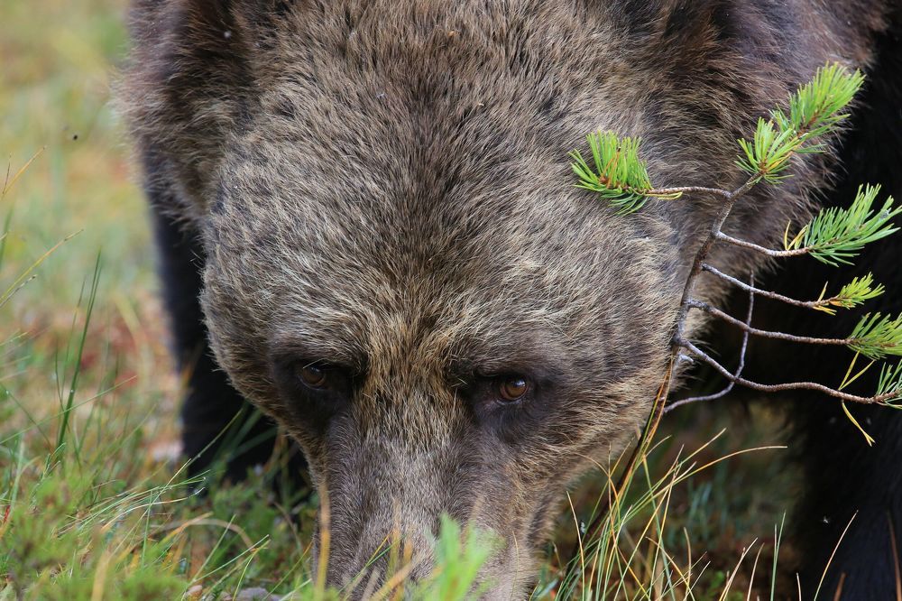 Photograph by Ene Mägi