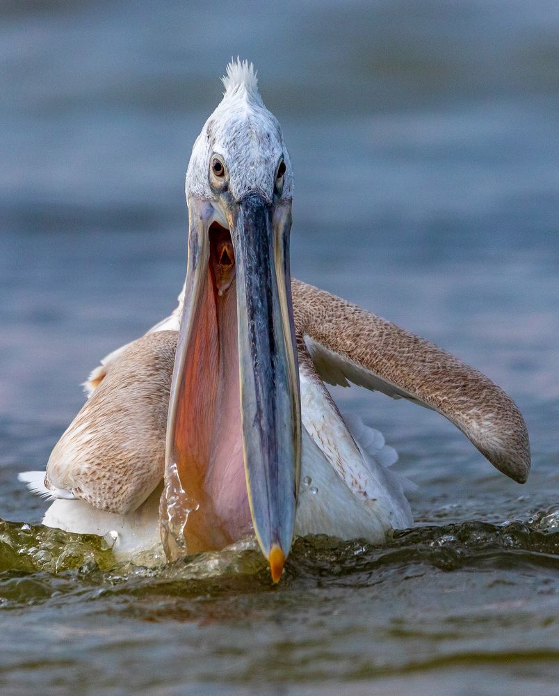 Photograph by Яна Толмачёва