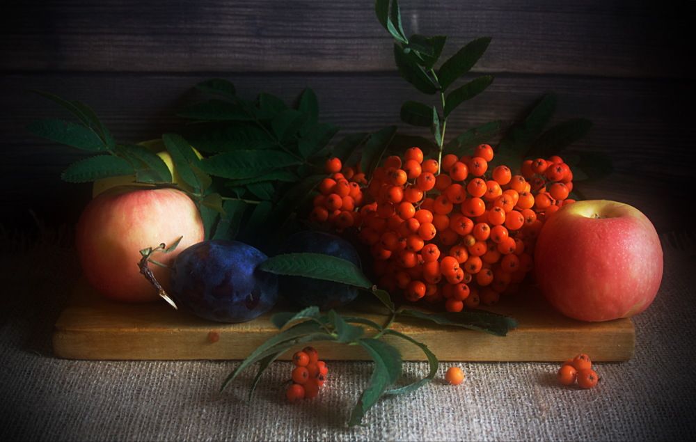 Photograph by Yroslava Veretina