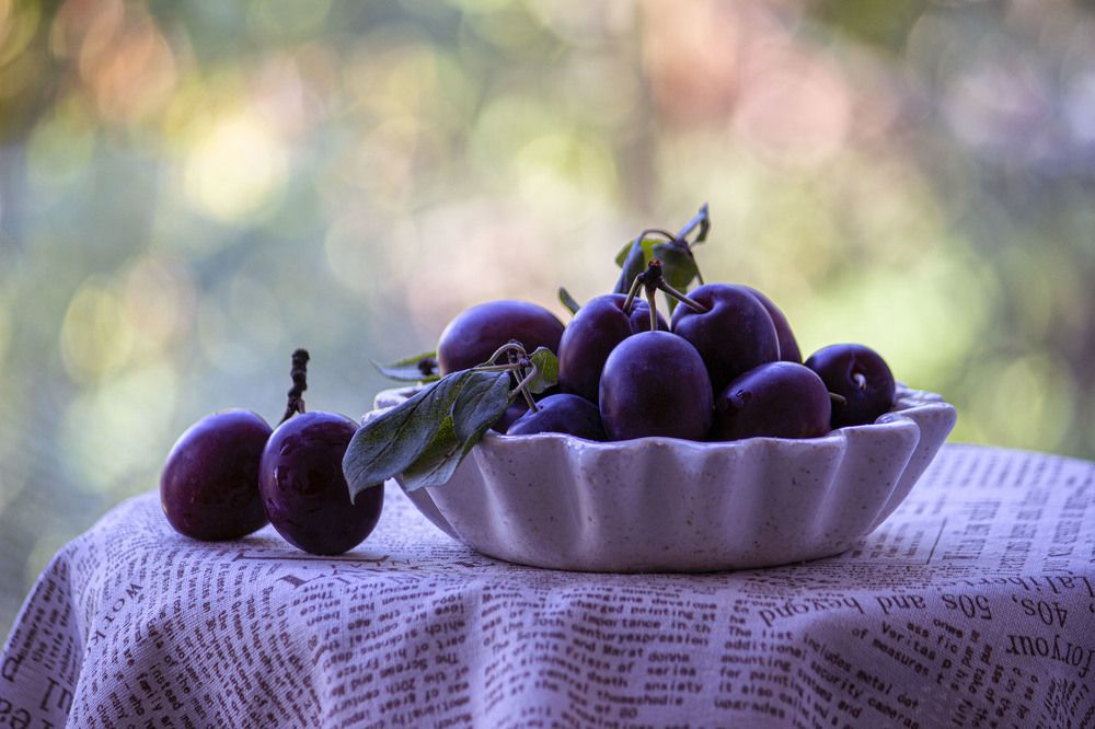 Photograph by Александра Шайдурова