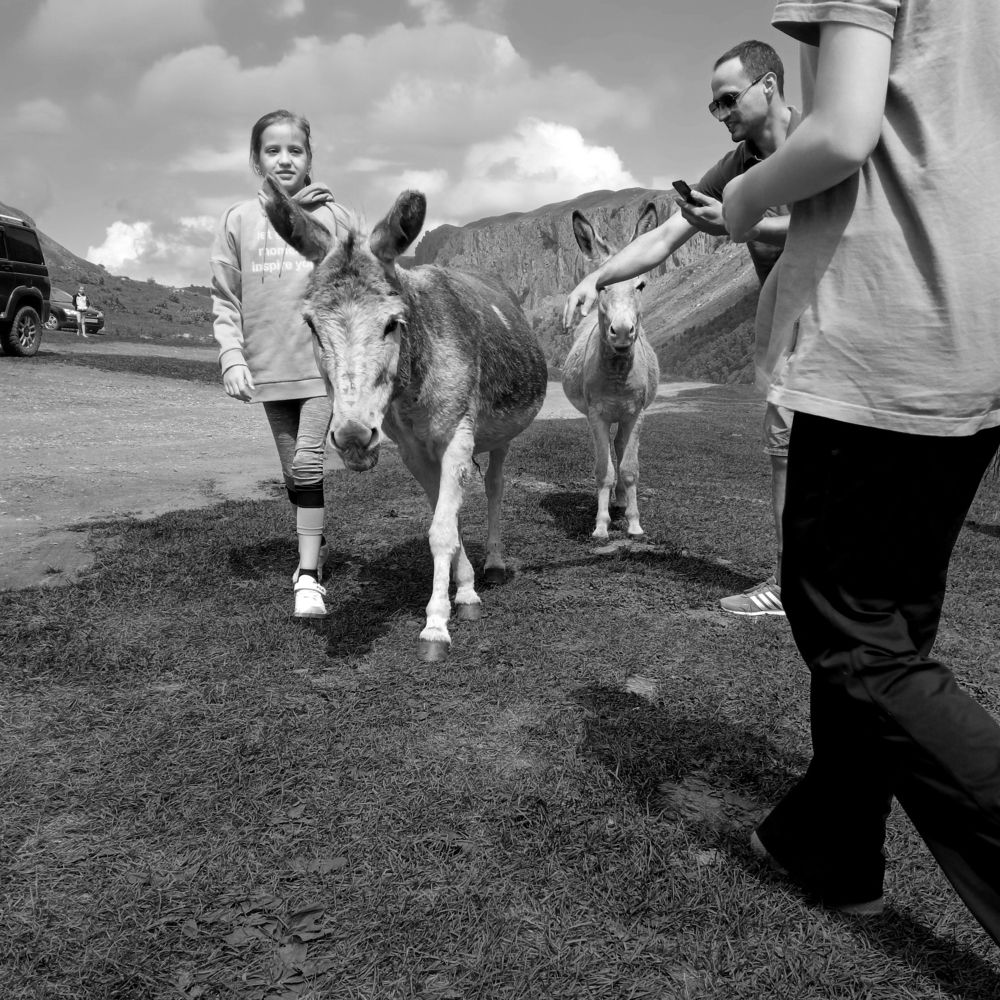 Photograph by Наталья Асеева