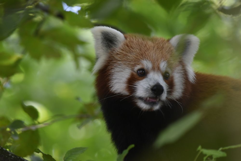 Photograph by Ivo Damen