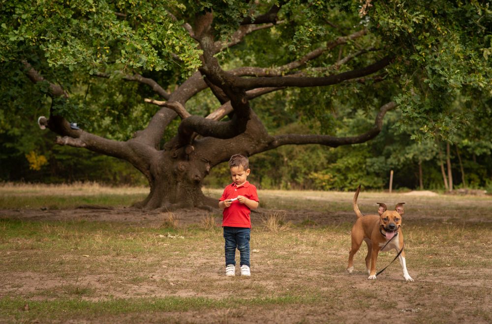 Photograph by Victoria Gladkova