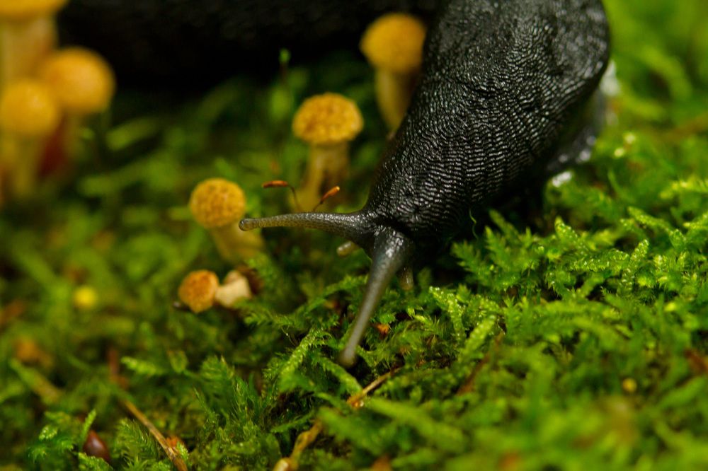 А теперь пора покушать