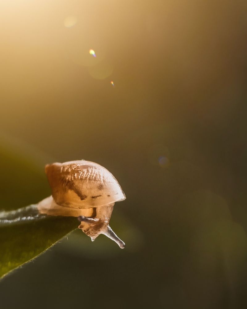 Photograph by Наталья Мальцева