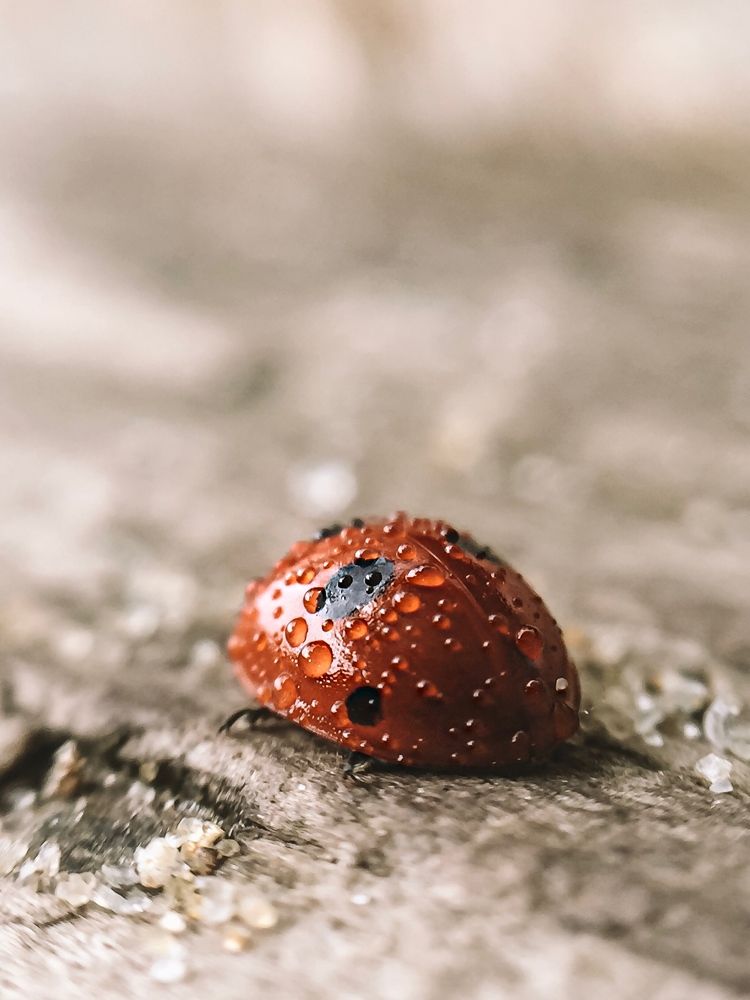 Photograph by Наталья Мальцева