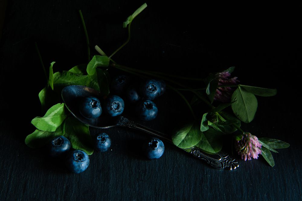 Фотография автора Екатерина Лапаева