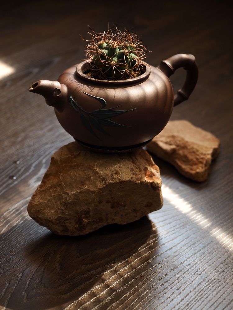 Вторая жизнь китайского чайника