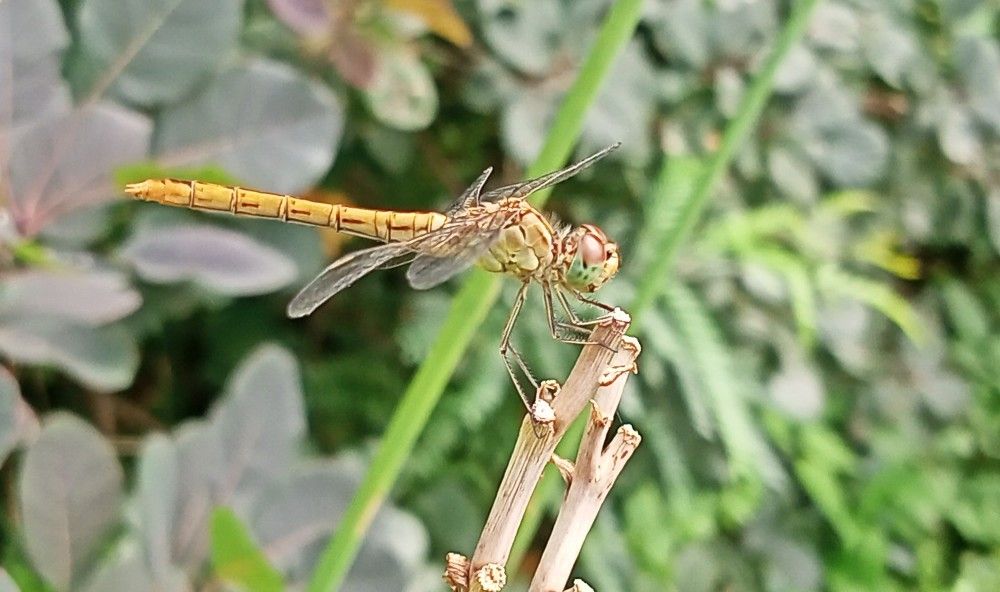 Photograph by Анна Лагун