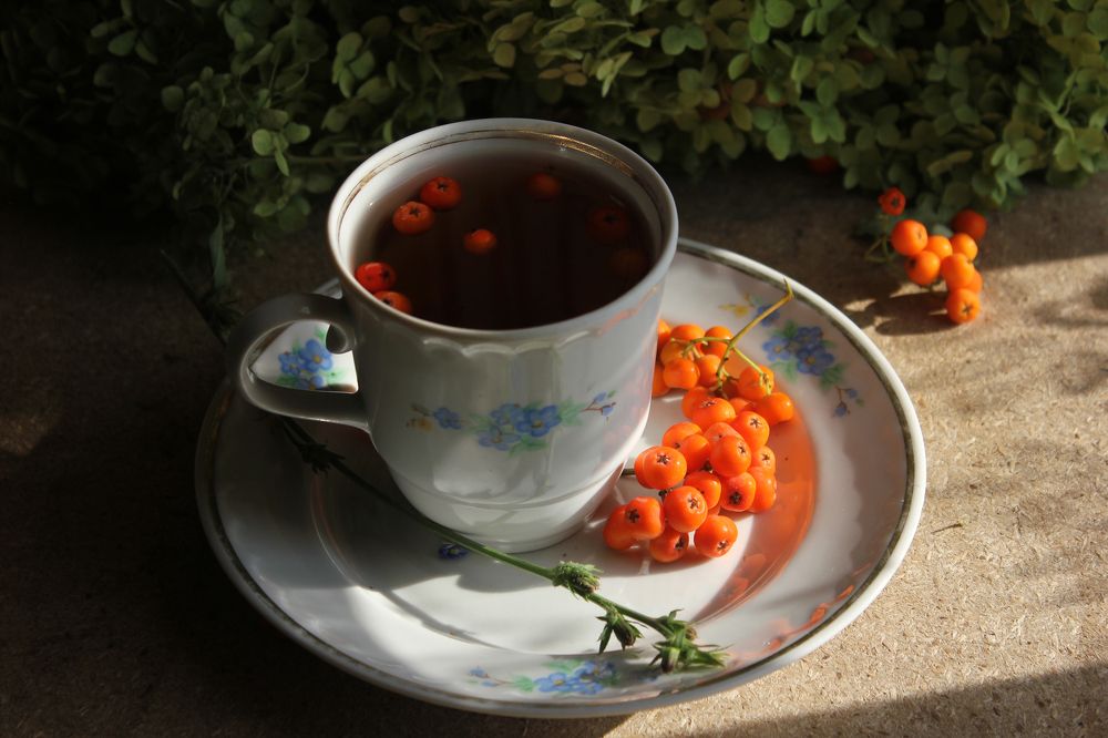 Рябина в темном