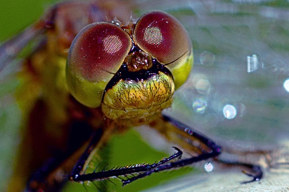 Photograph by Виктор Холодов