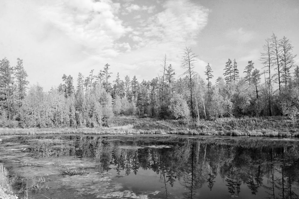 Отражение осени.