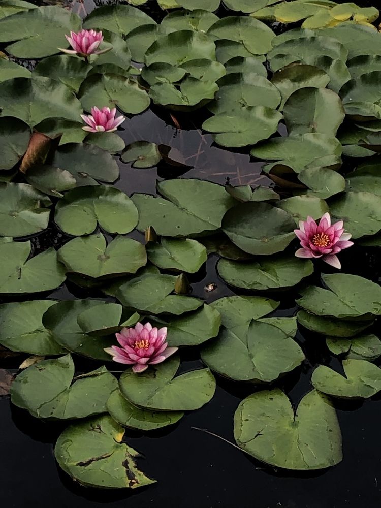 Photograph by Анастасия Козлова