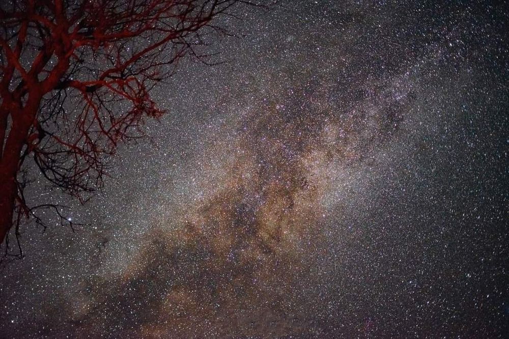 Photograph by Arghya Deep Bhattacharjee