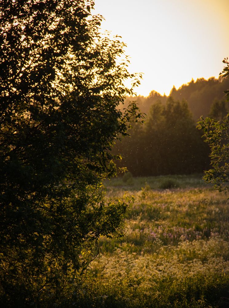 Photograph by Илья Крыжин