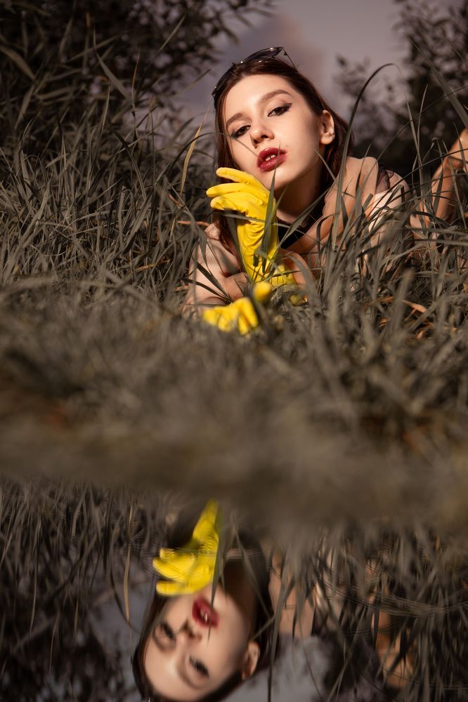 Чёрный лебедь