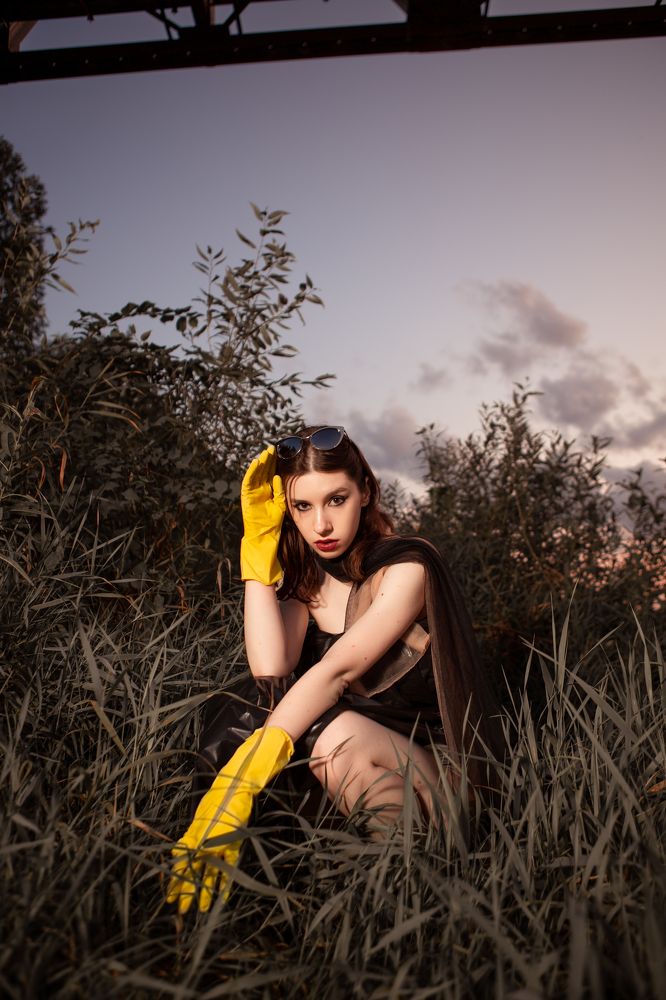 Чёрный лебедь