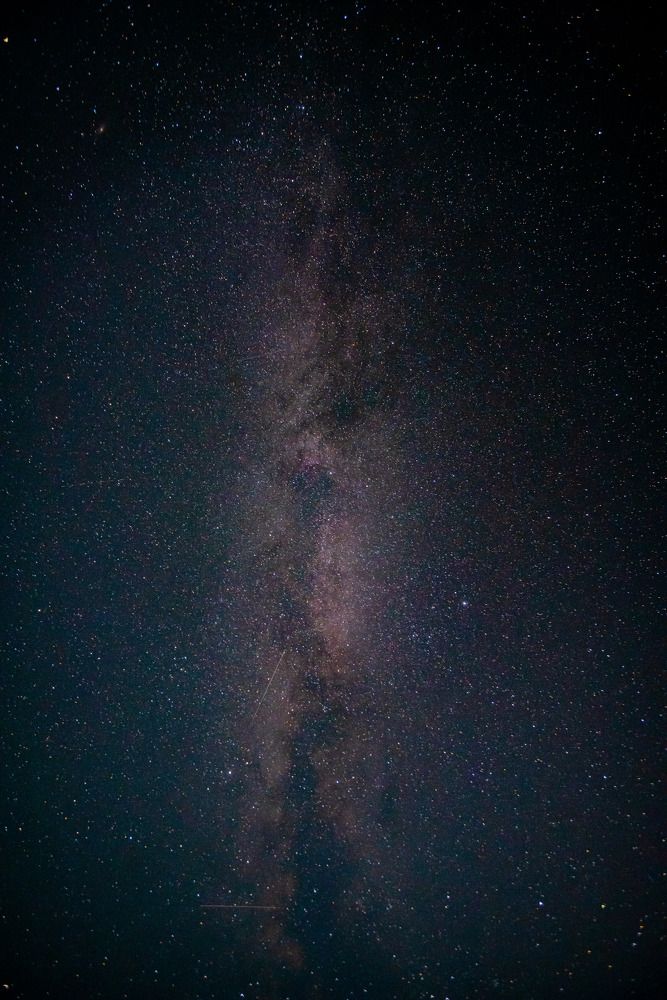 Фотография автора Паша Петров