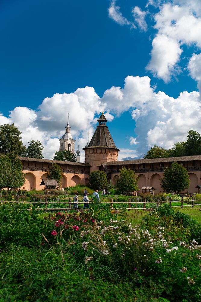 Фотография автора Алиса Курганская