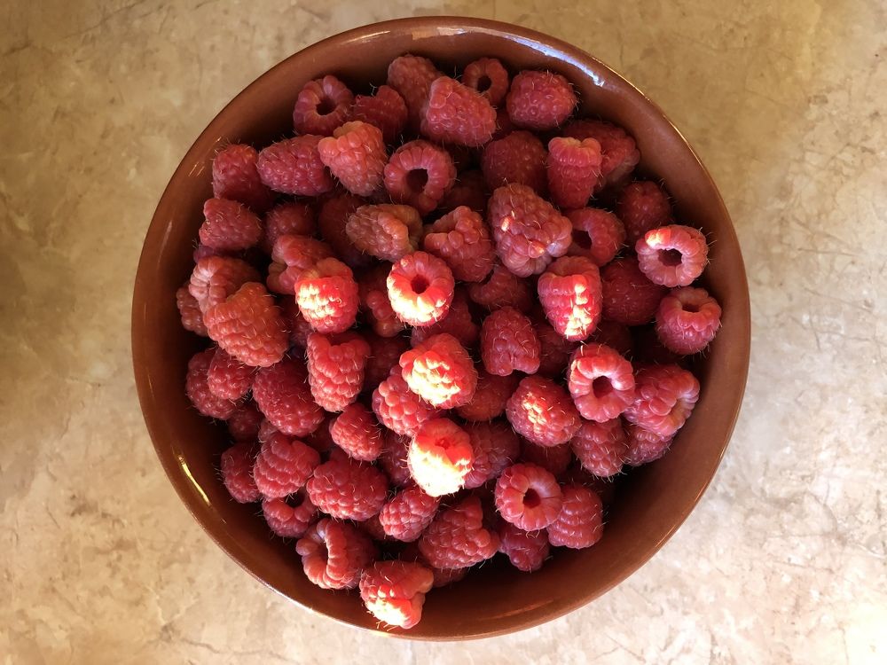 Photograph by Алена Жирова