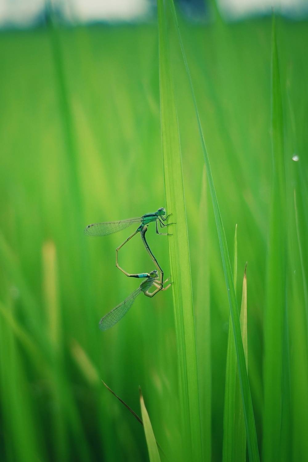 Фотография #6434492